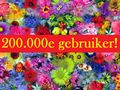 Bloemetje 200000 gebruikers.jpg