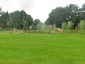 Het lidwinapark algemeen 1.0.jpg